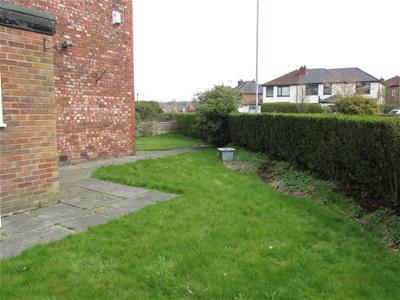 Picture 15